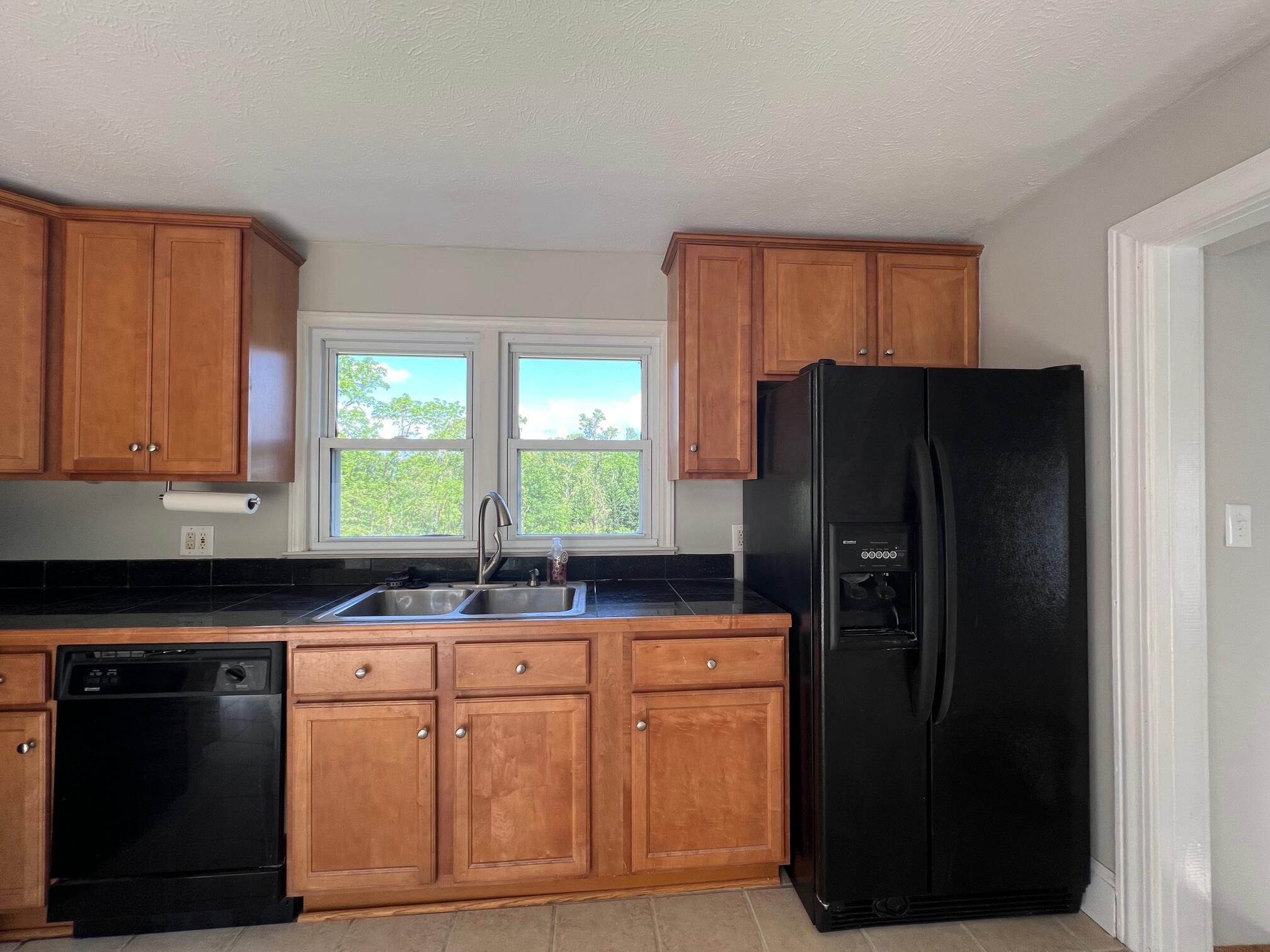 202 Maple Tree Drive Bristol, TN 37620 - Photo 3 of 20 IMG_2018