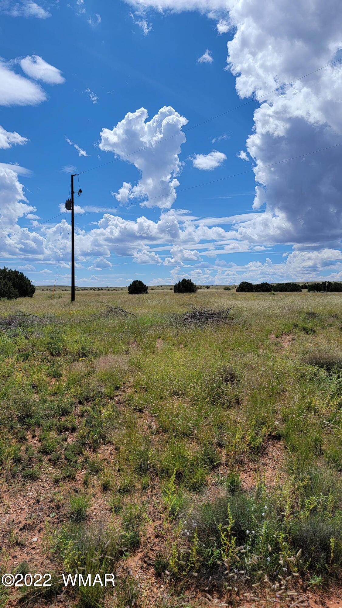 Tbd Paper Mill Road Heber, AZ 85928 - Photo 11 of 13