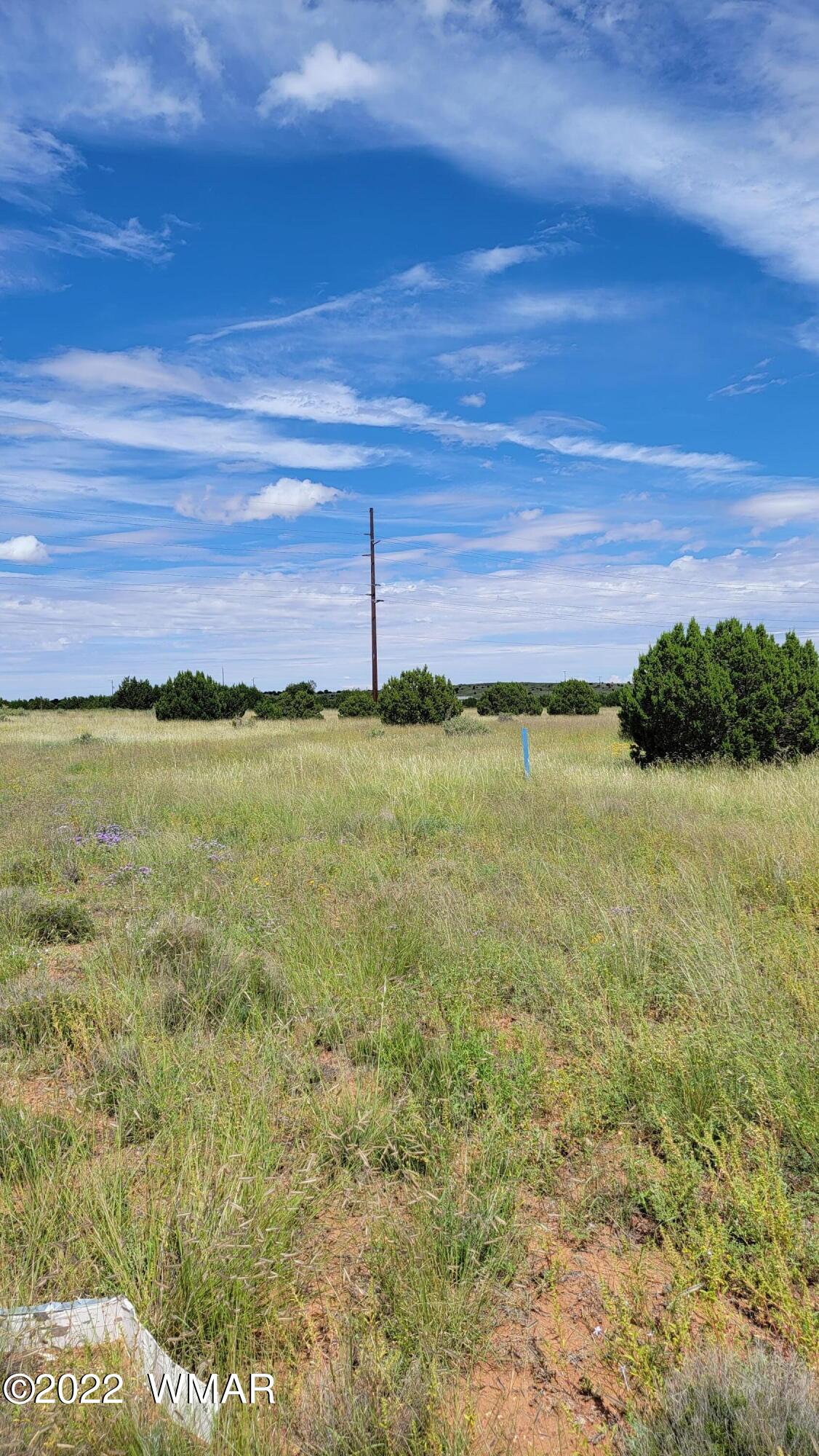 Tbd Paper Mill Road Heber, AZ 85928 - Photo 12 of 13