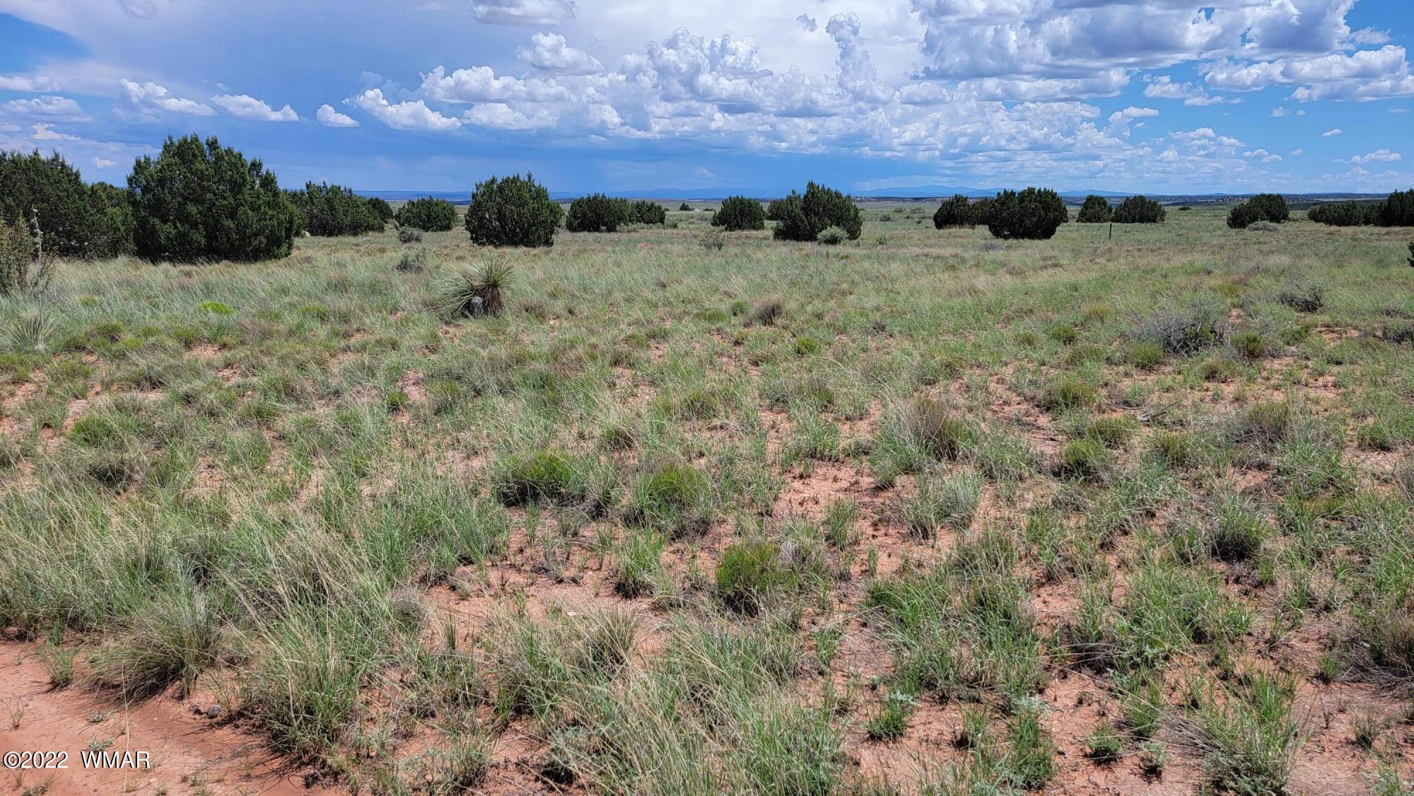Tbd Paper Mill Road Heber, AZ 85928 - Photo 2 of 13