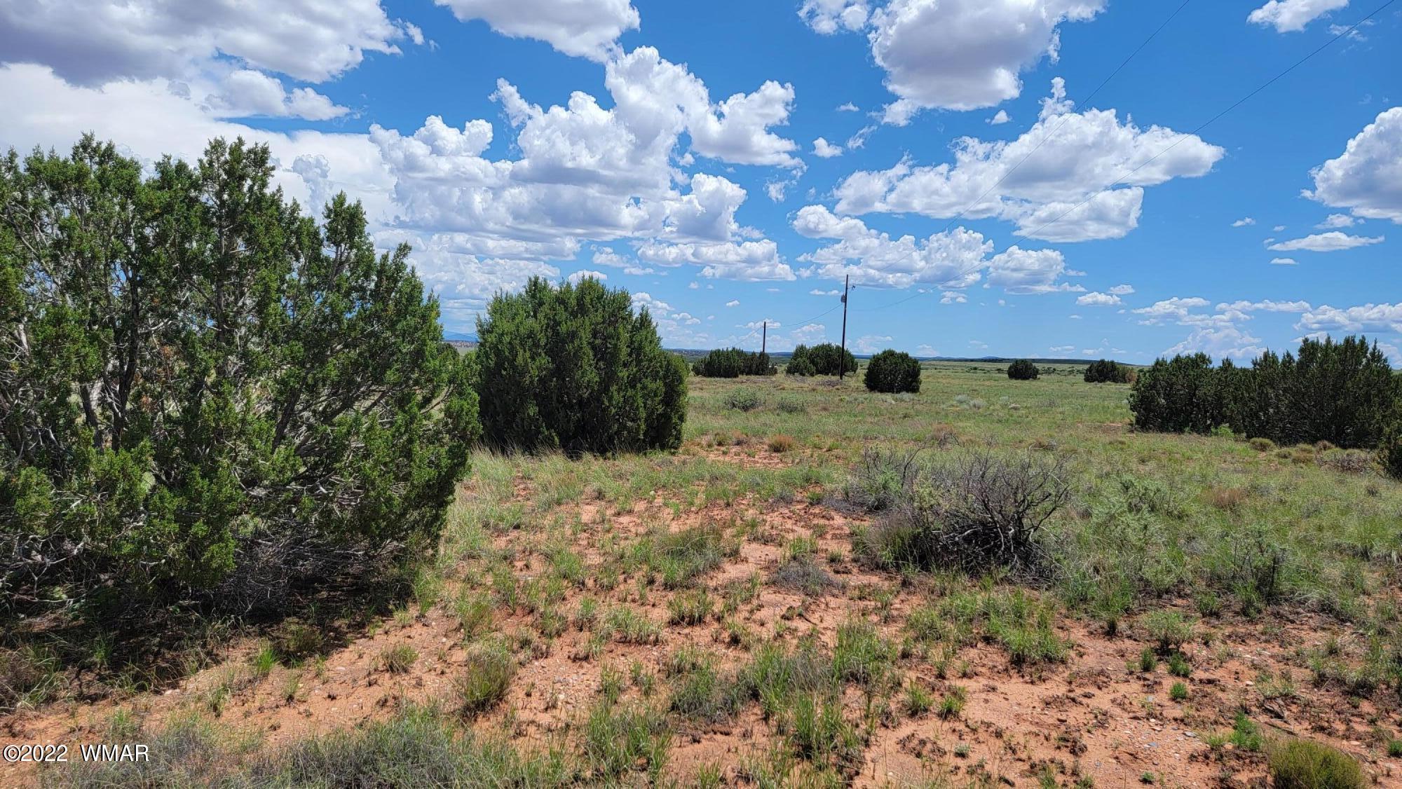 Tbd Paper Mill Road Heber, AZ 85928 - Photo 4 of 13