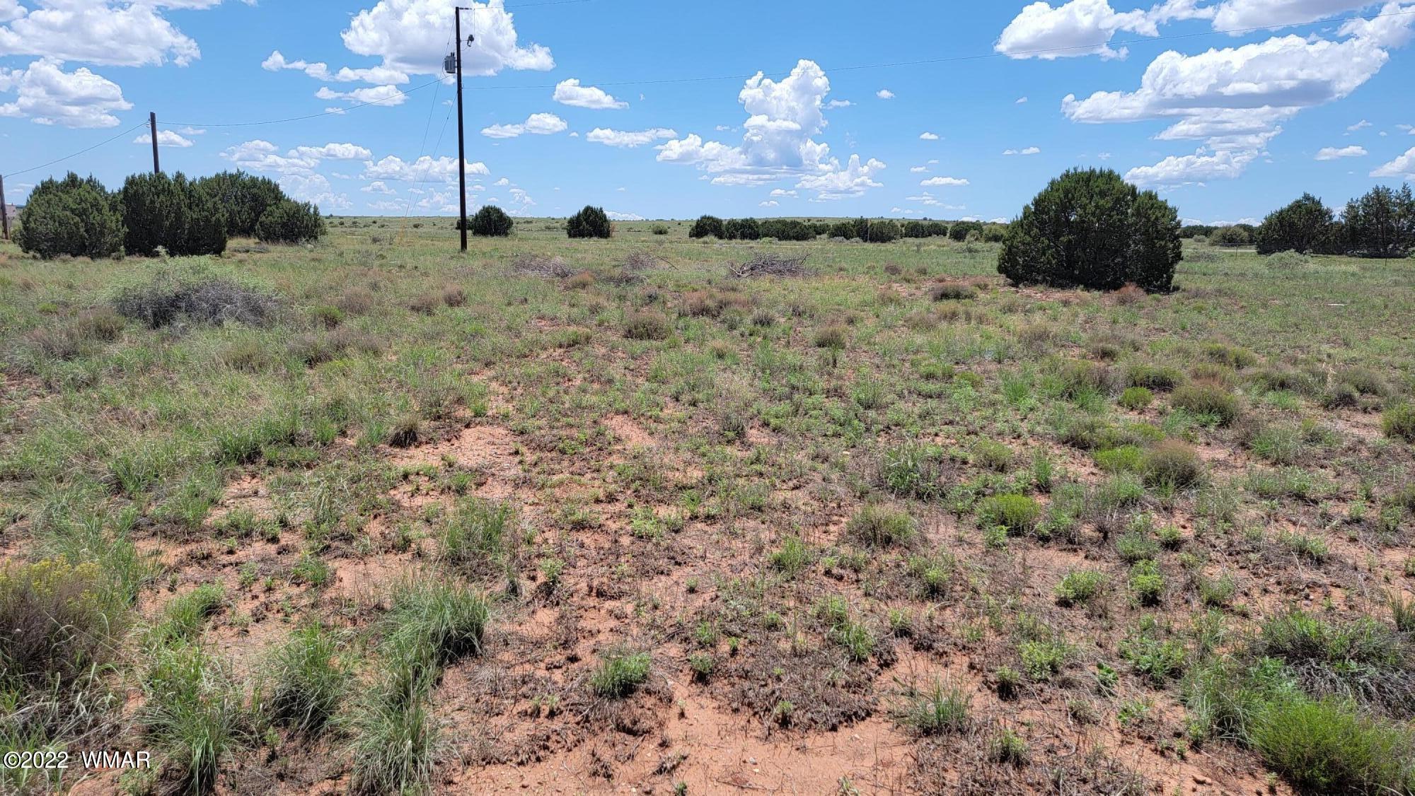 Tbd Paper Mill Road Heber, AZ 85928 - Photo 6 of 13