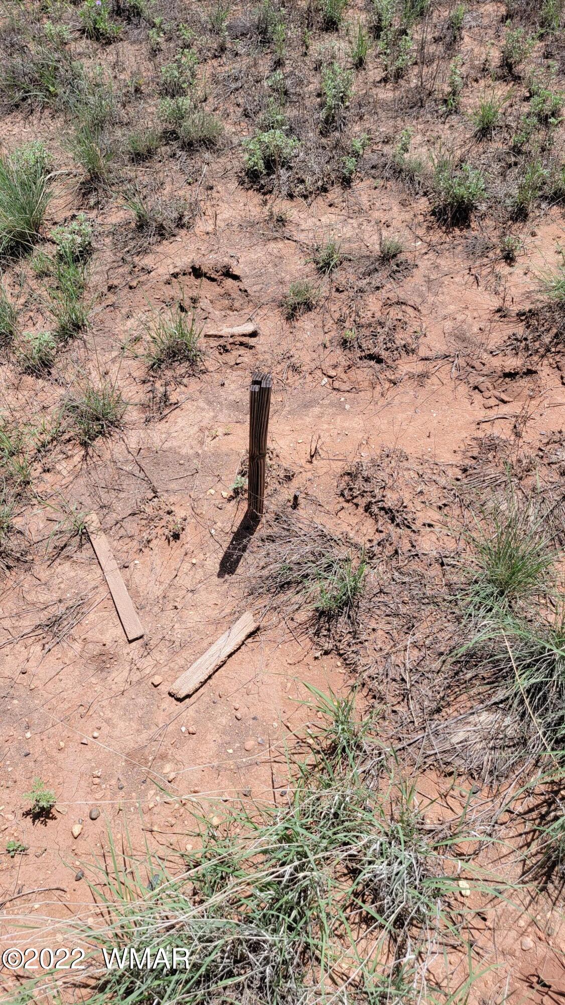 Tbd Paper Mill Road Heber, AZ 85928 - Photo 7 of 13