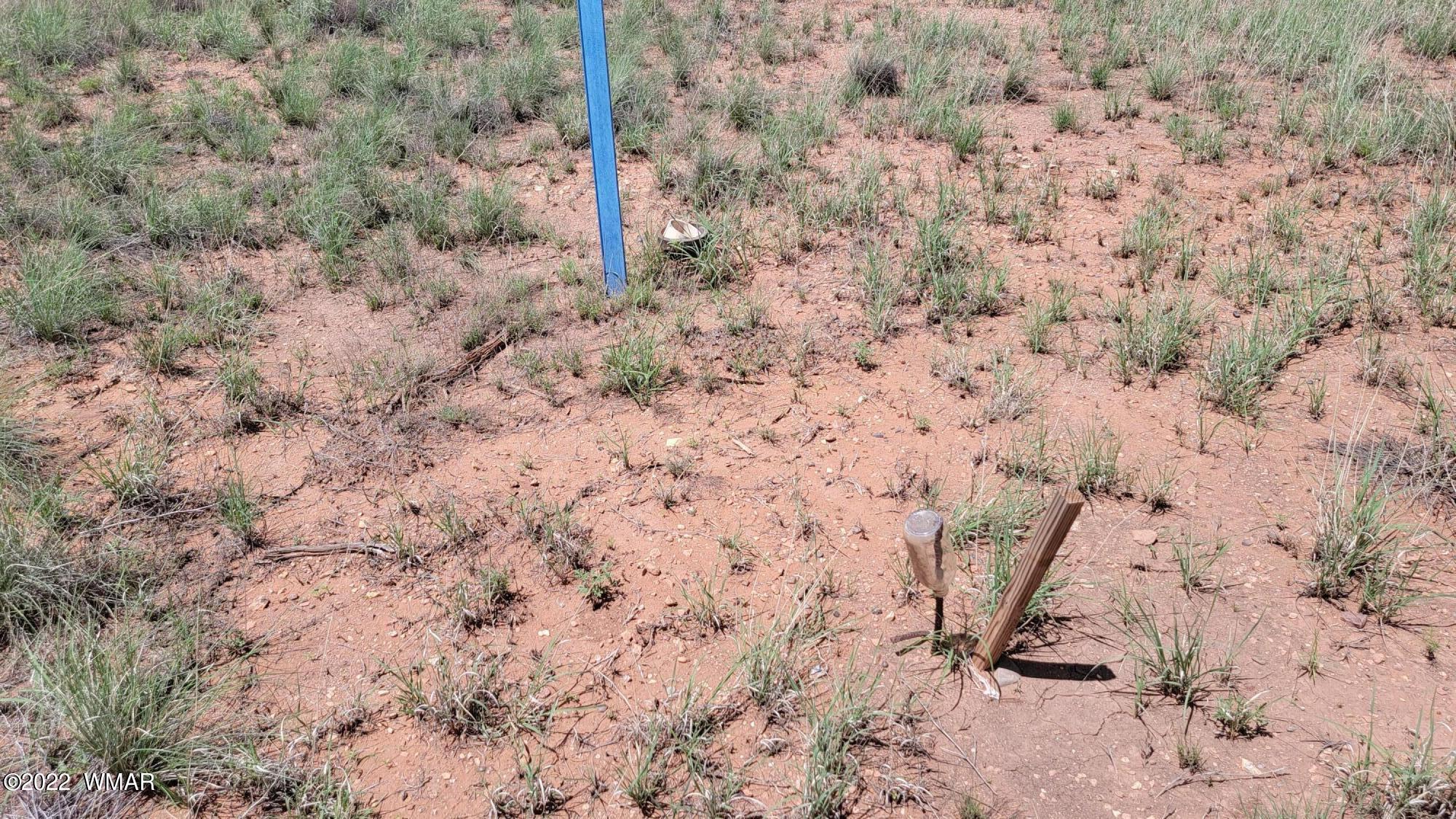Tbd Paper Mill Road Heber, AZ 85928 - Photo 8 of 13
