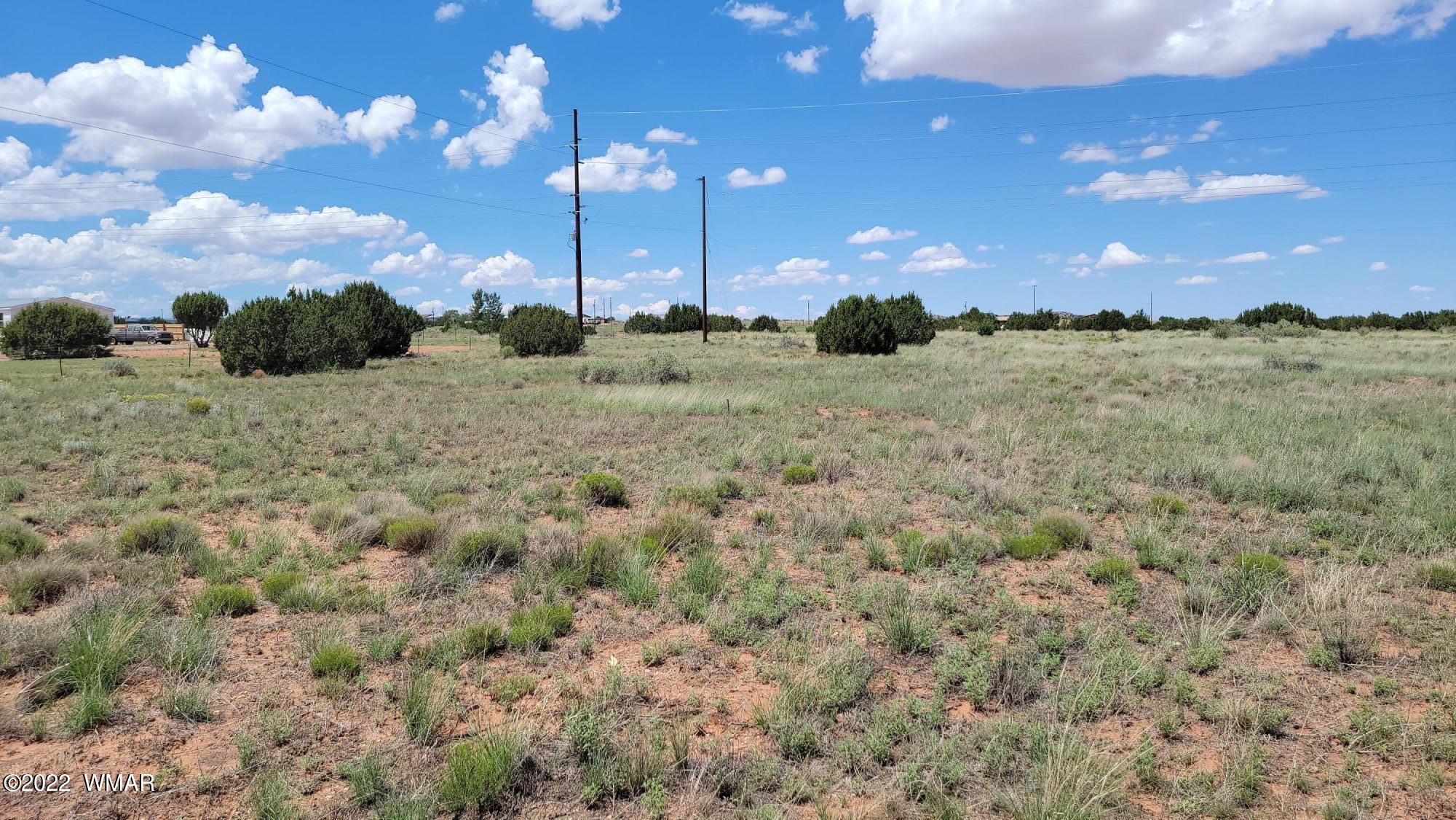 Tbd Paper Mill Road Heber, AZ 85928 - Photo 9 of 13
