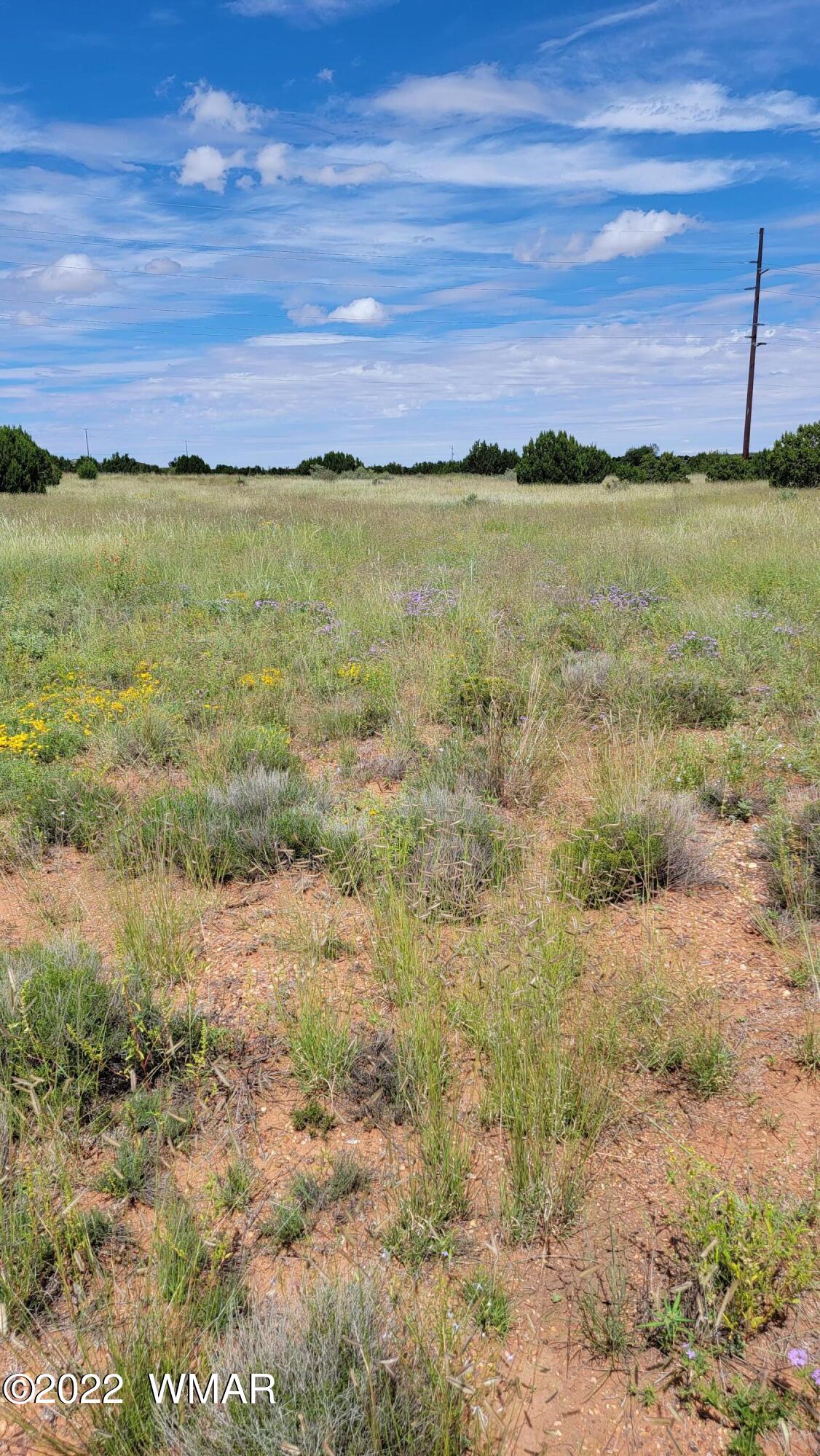 Tbd Paper Mill Road Heber, AZ 85928 - Photo 10 of 13