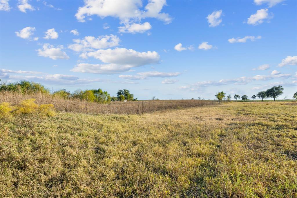 Tbd Krause Road Holland, TX 76534 - Photo 19 of 26