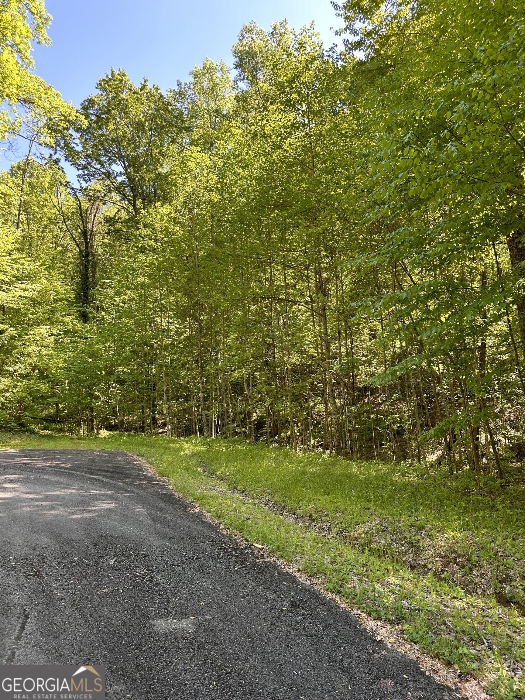Lot 25 Goldmine Gap Road Ellijay, GA 30536 - Photo 1 of 1 Gallery Image 1