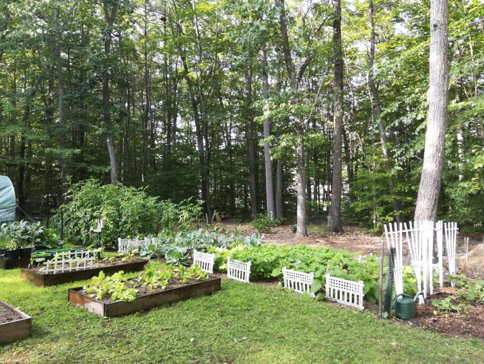 11 Gloria Street Gorham, ME 04038 - Photo 43 of 44 IMG_0083