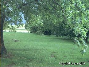 1819 Walnut Road Virginia, IL 62691 - Photo 7 of 9
