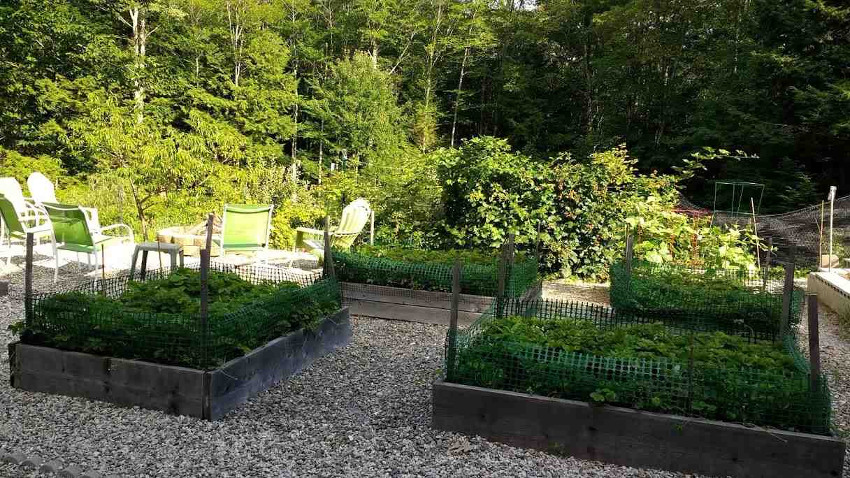 780 North Road Candia, NH 03034 - Photo 31 of 38