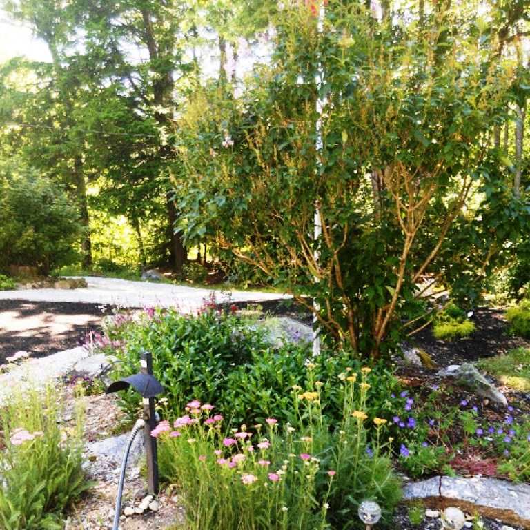780 North Road Candia, NH 03034 - Photo 33 of 38
