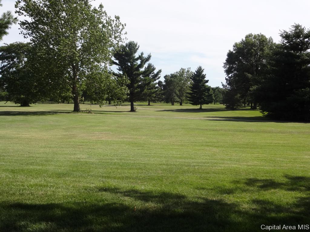 5480 West Divernon Road Auburn, IL 62615 - Photo 3 of 33