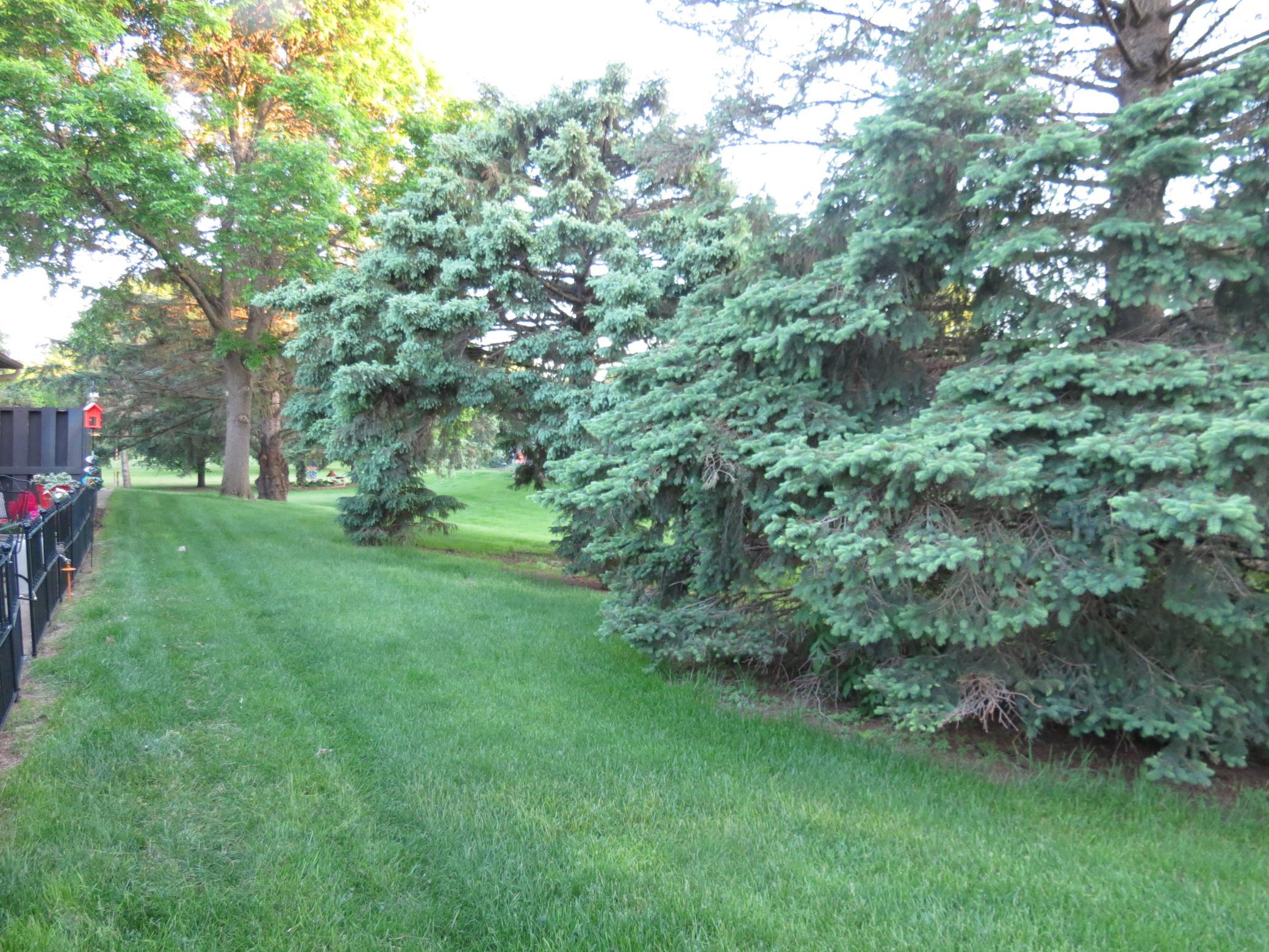 912 3rd Street North, Unit 7 Cold Spring, MN 56320 - Photo 21 of 25