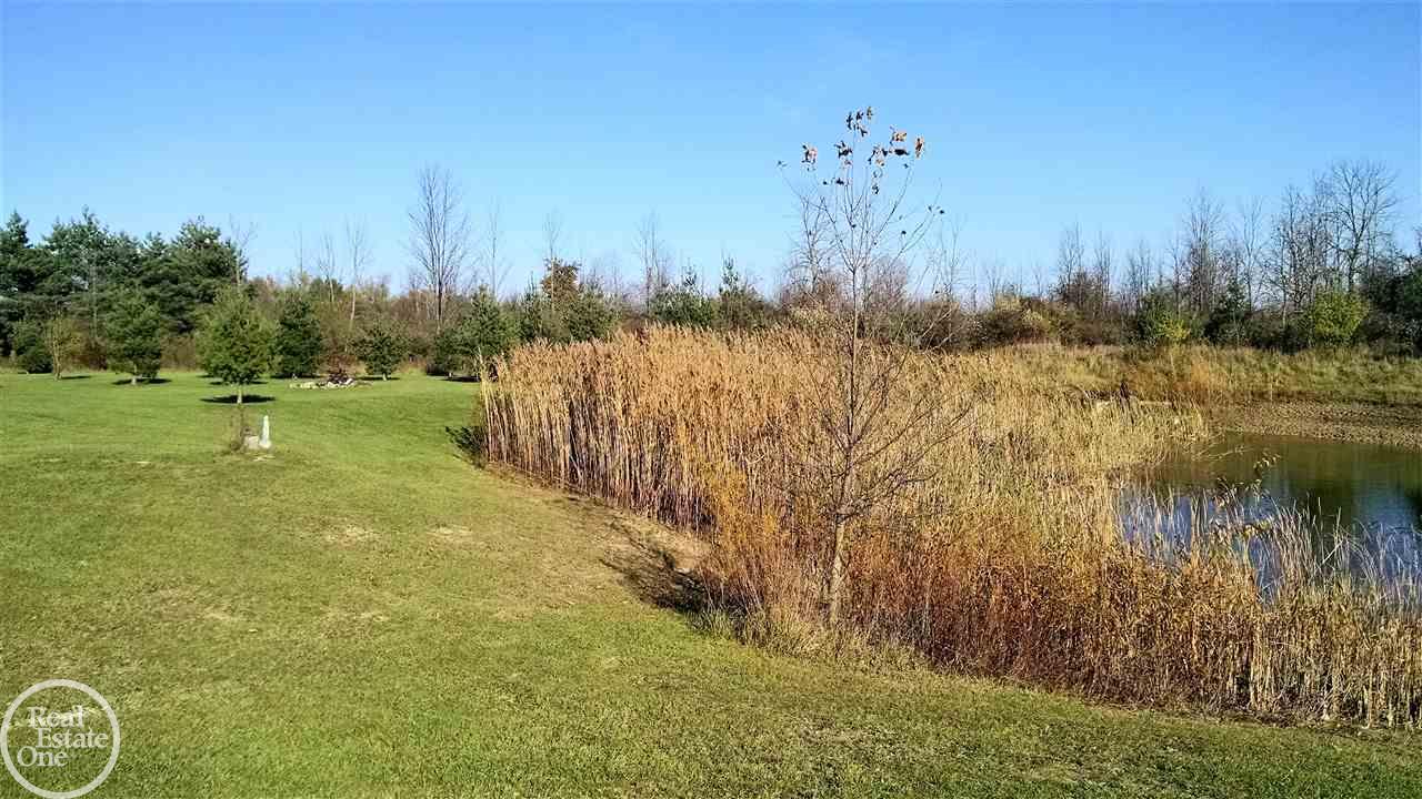 6083 Babcock Road Lexington, MI 48450 - Photo 90 of 99 31335178-89.JPG