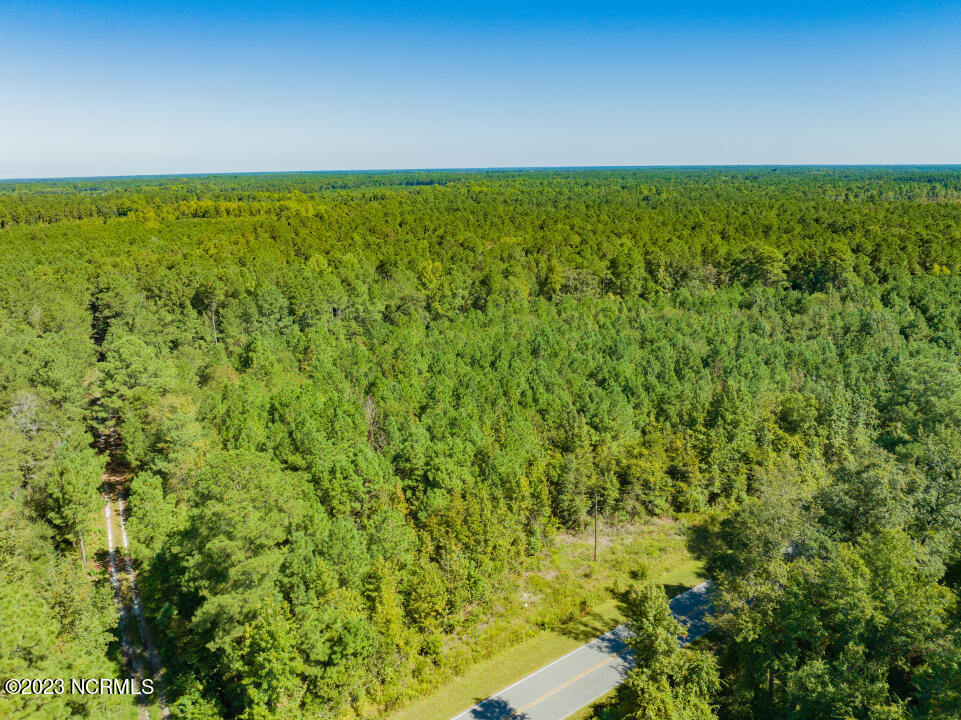 0 Trinity Church Road Magnolia, NC 28453 - Photo 26 of 47 26