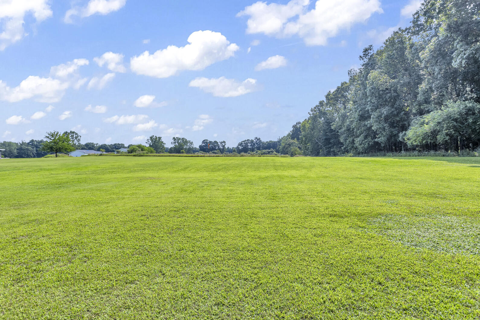 3119 Whipple Road Jackson, MI 49201 - Photo 41 of 55 0N0A2132