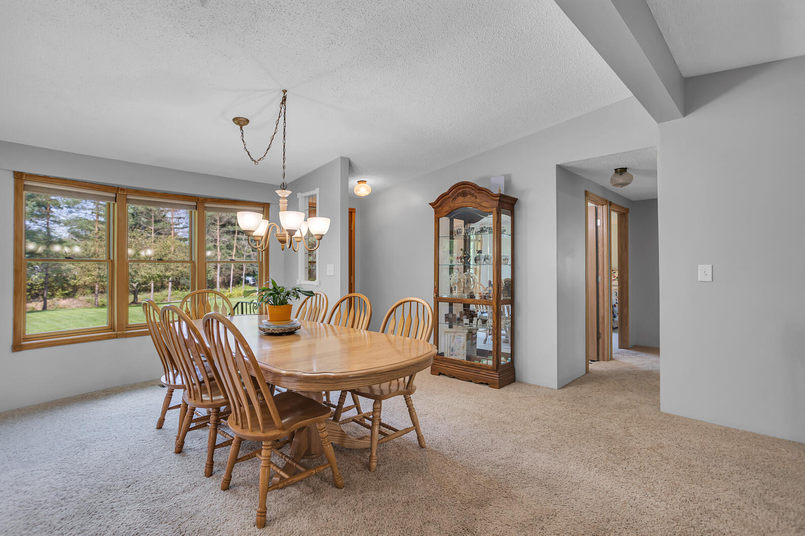 3119 Whipple Road Jackson, MI 49201 - Photo 6 of 55 0N0A2160