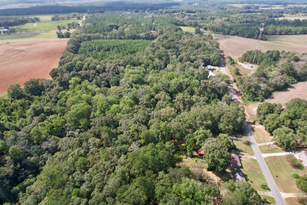 0 JB Chapman Road Midland City, AL 36350 - Photo 6 of 9