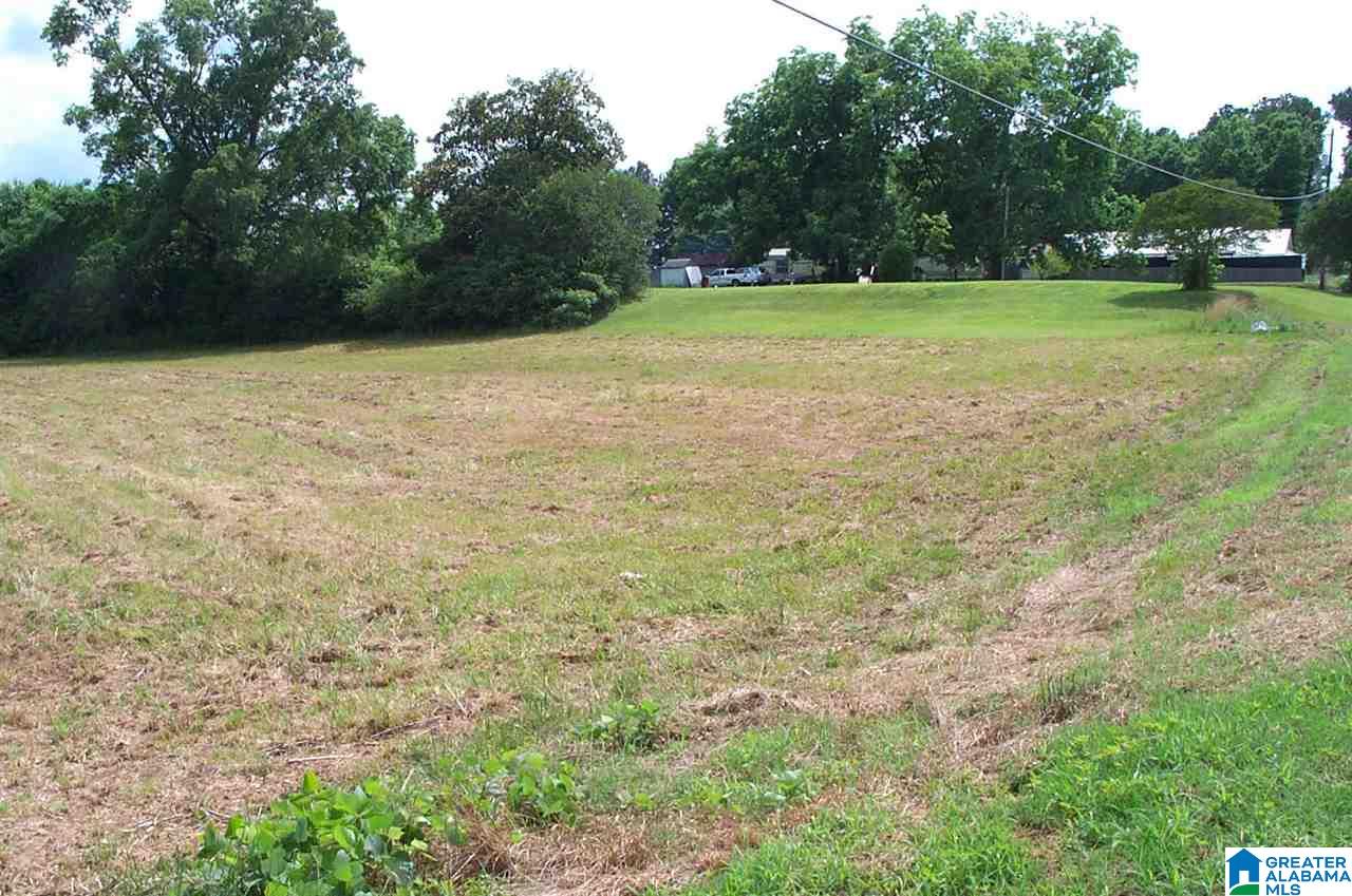 4700 McIntosh Road, Unit 1 Oxford, AL 36203 - Photo 3 of 9