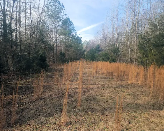 $298,000 | 0 Todd Quarter Road, Waterloo, SC 29384