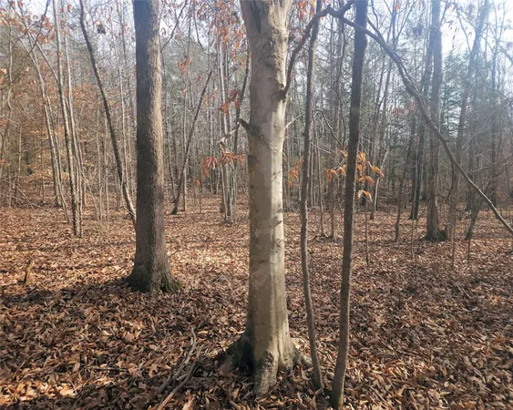 $298,000 | 0 Todd Quarter Road, Waterloo, SC 29384