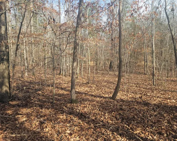 $298,000 | 0 Todd Quarter Road, Waterloo, SC 29384