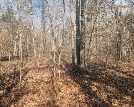 $298,000 | 0 Todd Quarter Road, Waterloo, SC 29384