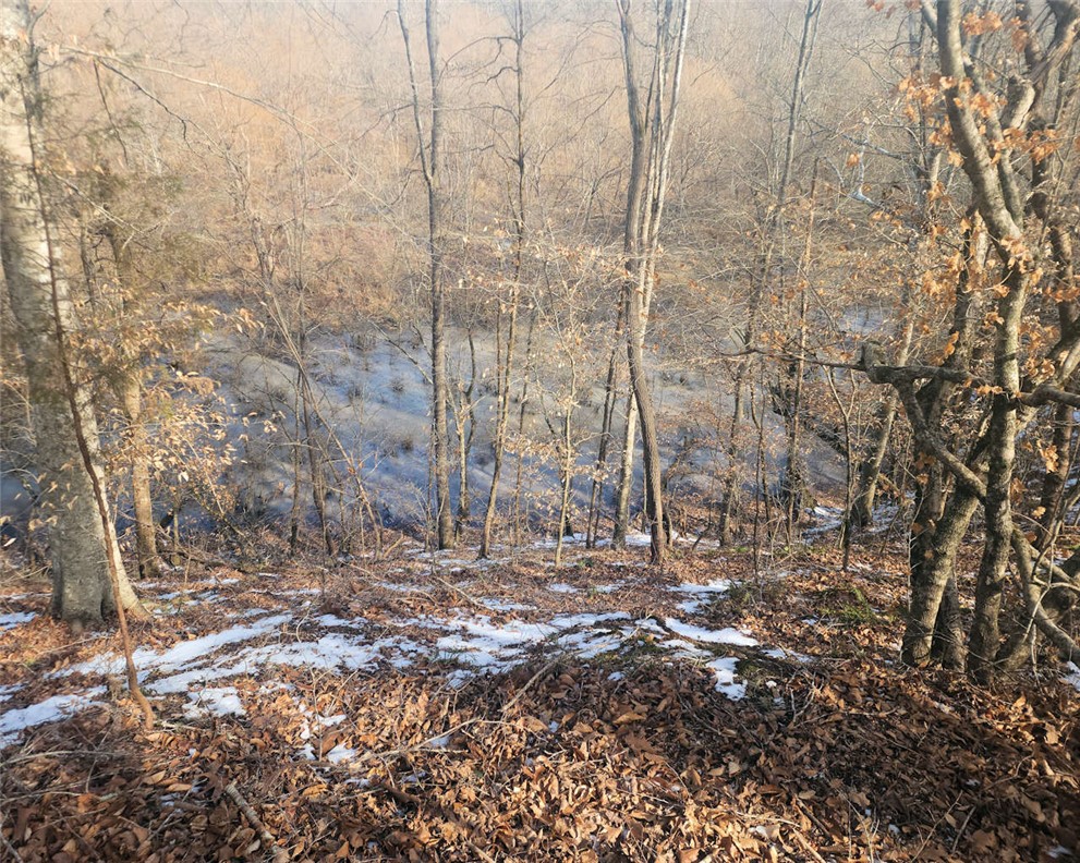 0 Todd Quarter Road Waterloo, SC 29384 - Photo 16 of 26