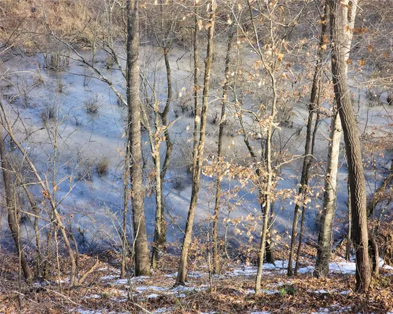 $298,000 | 0 Todd Quarter Road, Waterloo, SC 29384