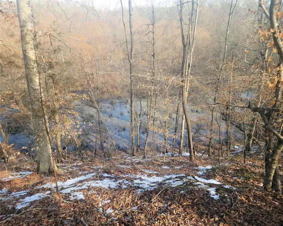 $298,000 | 0 Todd Quarter Road, Waterloo, SC 29384