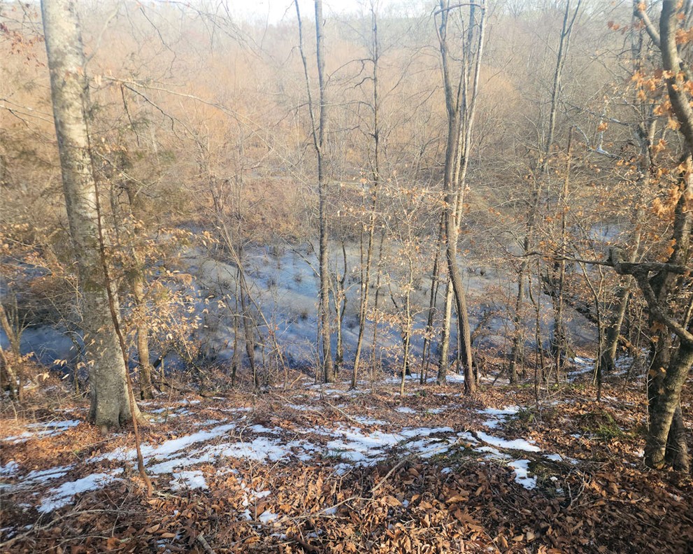 0 Todd Quarter Road Waterloo, SC 29384 - Photo 18 of 26