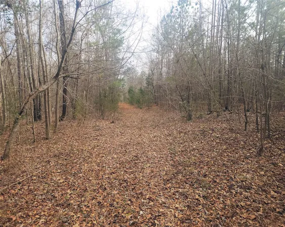 $298,000 | 0 Todd Quarter Road, Waterloo, SC 29384