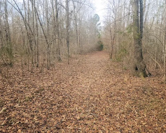 $298,000 | 0 Todd Quarter Road, Waterloo, SC 29384