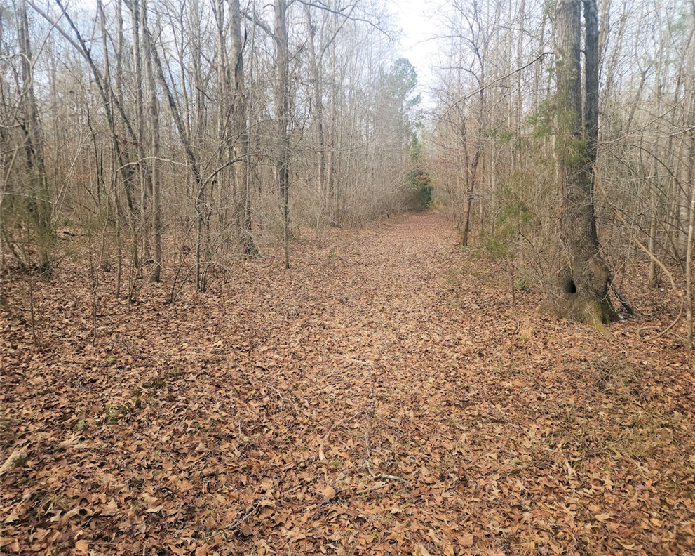 0 Todd Quarter Road Waterloo, SC 29384 - Photo 20 of 26