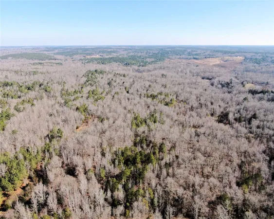 $298,000 | 0 Todd Quarter Road, Waterloo, SC 29384