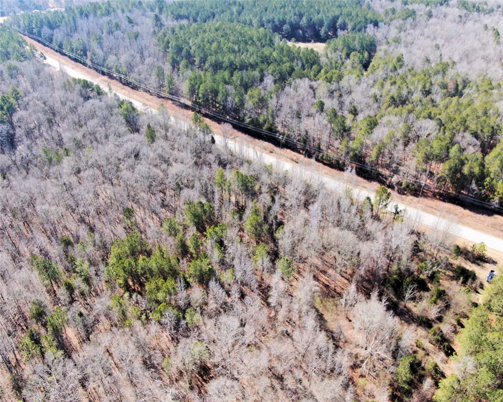 0 Todd Quarter Road Waterloo, SC 29384 - Photo 22 of 26