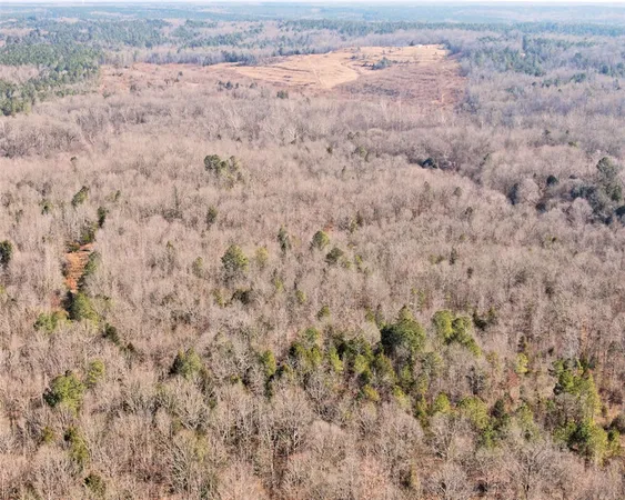 $298,000 | 0 Todd Quarter Road, Waterloo, SC 29384