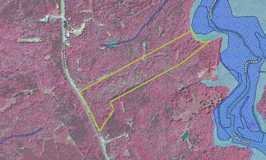 0 Todd Quarter Road Waterloo, SC 29384 - Photo 25 of 26