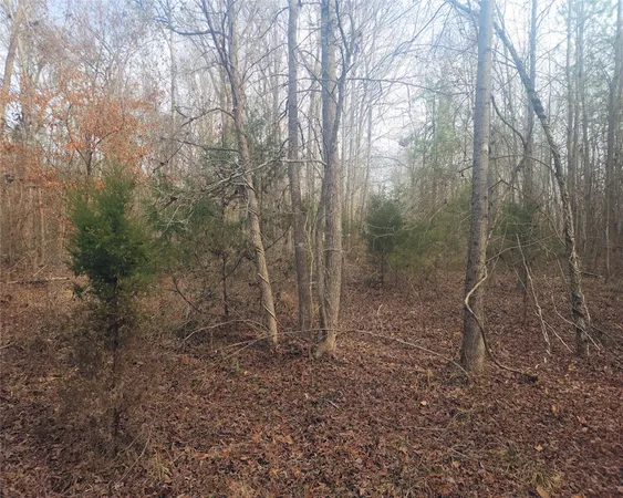 $298,000 | 0 Todd Quarter Road, Waterloo, SC 29384