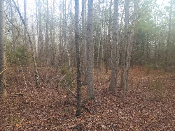 $298,000 | 0 Todd Quarter Road, Waterloo, SC 29384