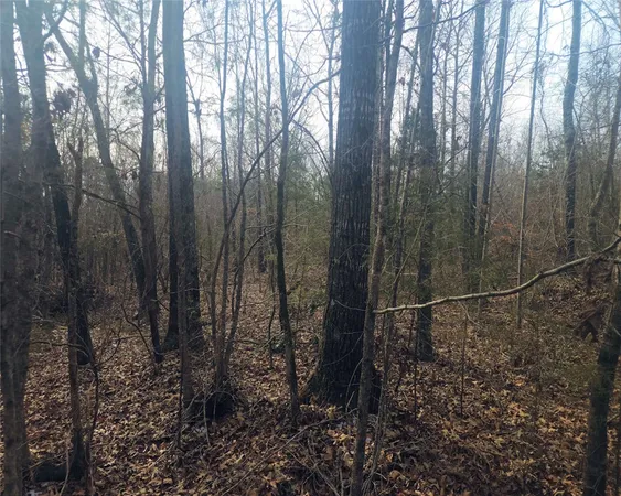 $298,000 | 0 Todd Quarter Road, Waterloo, SC 29384