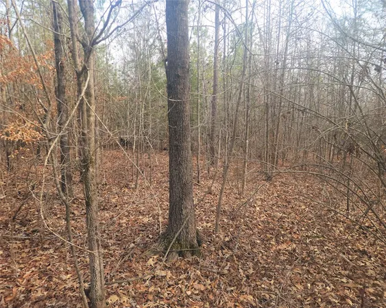 $298,000 | 0 Todd Quarter Road, Waterloo, SC 29384