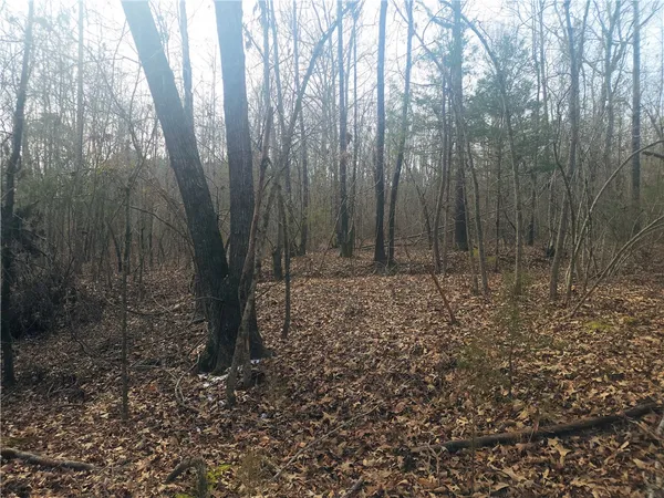 $298,000 | 0 Todd Quarter Road, Waterloo, SC 29384