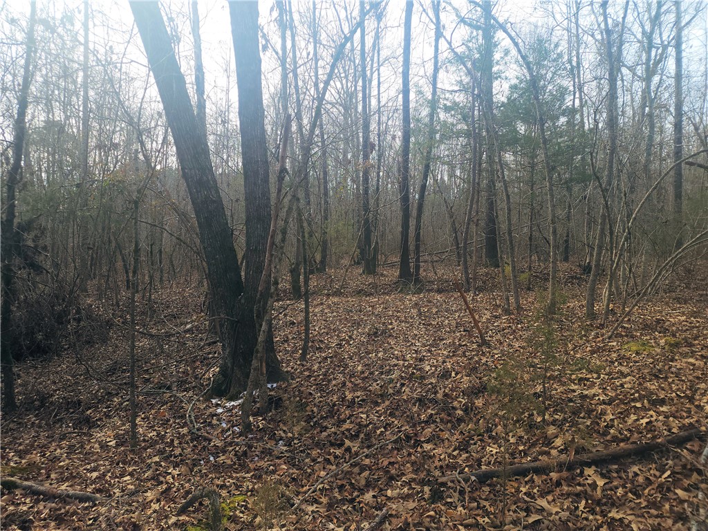 0 Todd Quarter Road Waterloo, SC 29384 - Photo 8 of 26