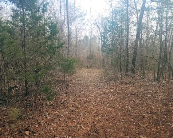 $298,000 | 0 Todd Quarter Road, Waterloo, SC 29384