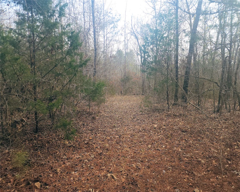 0 Todd Quarter Road Waterloo, SC 29384 - Photo 9 of 26