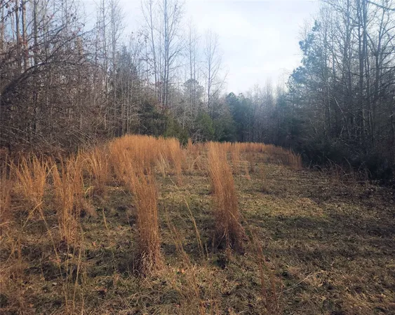 $298,000 | 0 Todd Quarter Road, Waterloo, SC 29384