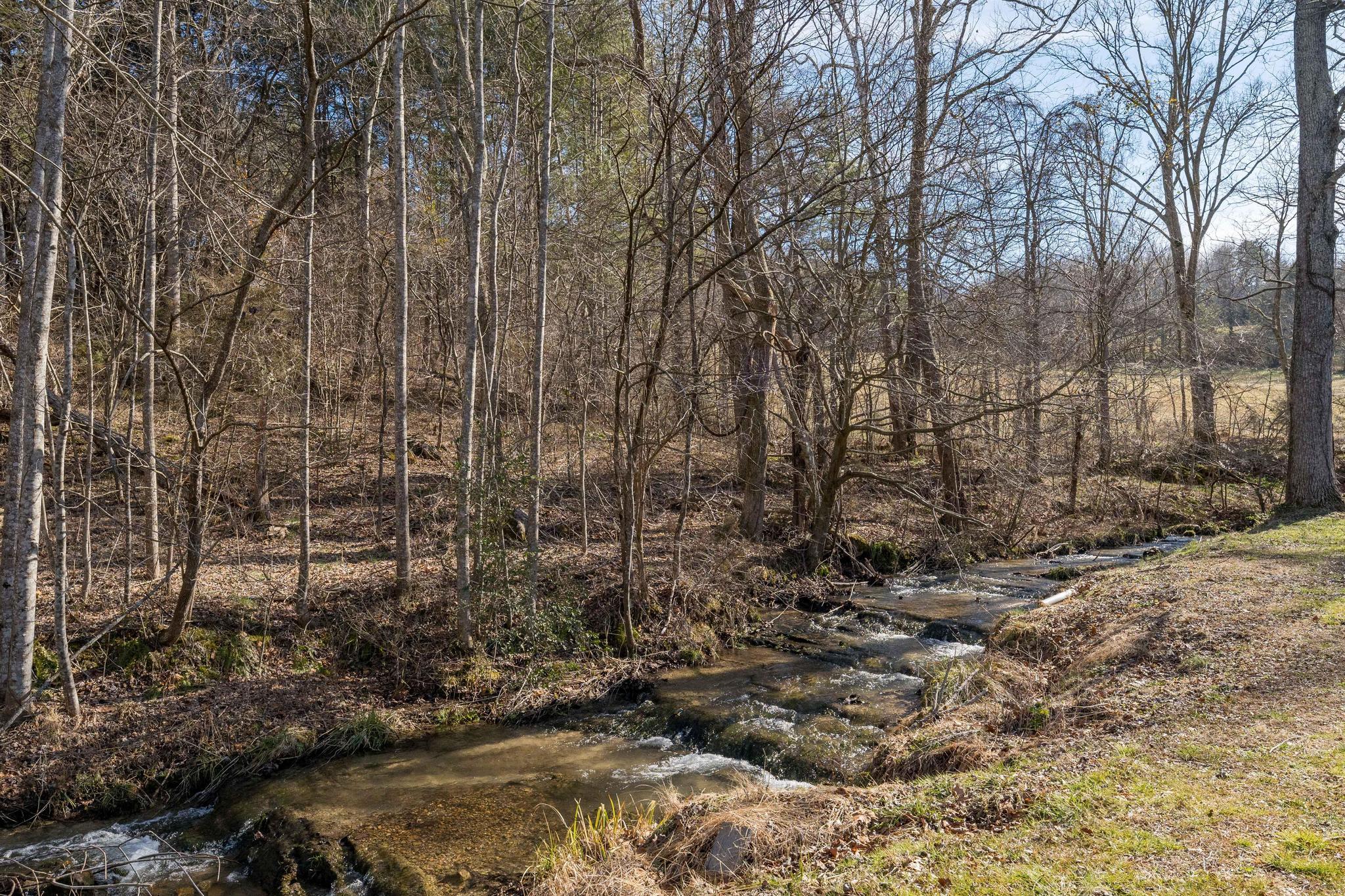 155 Tweed Springs Road Greeneville, TN 37743 - Photo 41 of 48 Creek