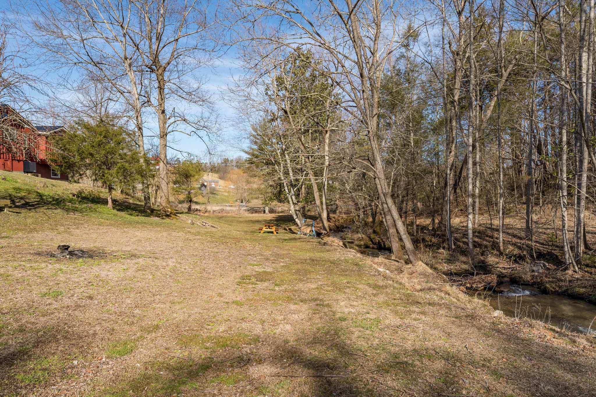 155 Tweed Springs Road Greeneville, TN 37743 - Photo 42 of 48 Creek